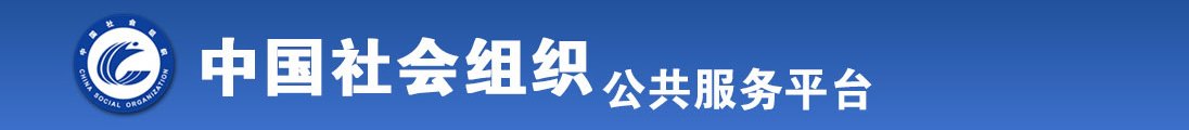 三级黄片插插321568全国社会组织信息查询